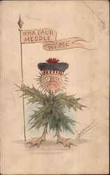 Scottish Holly Bush Man Holding Flag Postcard