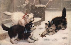 Three Cats Playing in the Snow Postcard