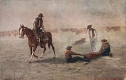 Cowboys Branding Cattle Postcard