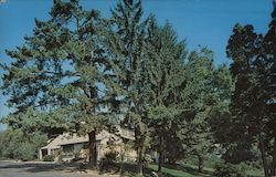 Paul and Vivian Hepner's Pine Tree Inn Postcard