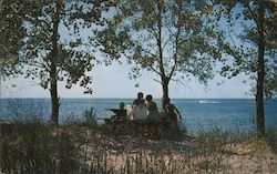 Picnicking on Presque, Isle State Park Postcard