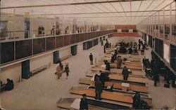 Streamlined Customs Facilities, New York International Airport Postcard