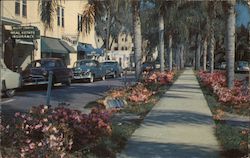 Morse Boulevard Winter Park, FL Postcard Postcard Postcard