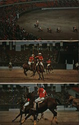 Polo, As Played Under the Dome Postcard