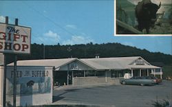 The Gift Shop - Home of "Billy, the Talking Buffalo" Postcard