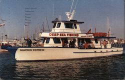 Dolphin Express Charter Boat Postcard