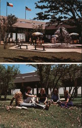 The University of Texas of the Permian Basin Odessa, TX Postcard Postcard Postcard