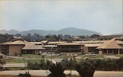 Royal Inn of Monterey Postcard