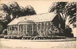 The Library Postcard