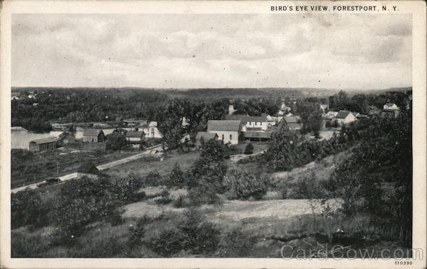 Bird's Eye View Forestport New York