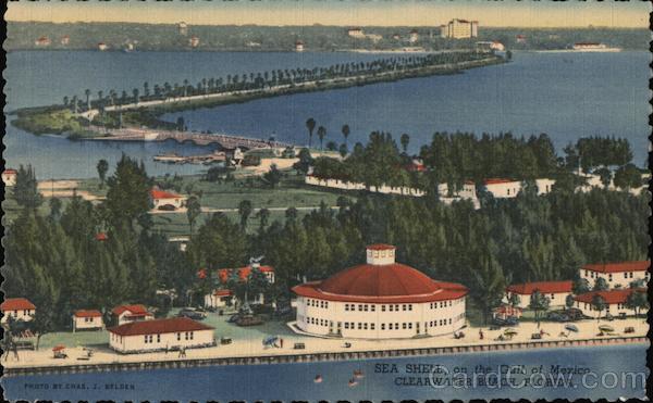Sea Shell Clearwater Beach Florida Chas. J. Belden