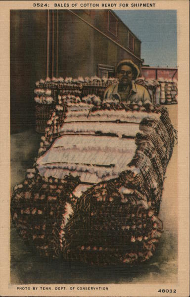 Bales of Cotton Ready for Shipment Tenn. Dept. of Conservation