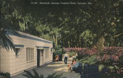 Sanlando Springs Tropical Park Orlando, FL Postcard Postcard Postcard