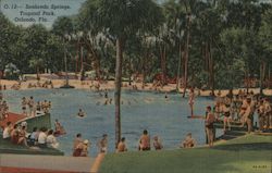 Sanlando Springs, Tropical Park Postcard