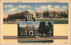 Michigan State College Views Postcard