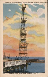 Hawaiian High and Fancy Divers Perform from 100-foot Tower Postcard