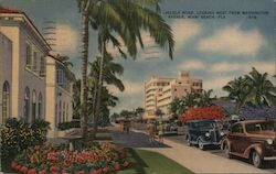 Lincoln Road Postcard