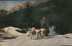 Ed Clark's Eskimo Sled Dogs in Action North Woodstock, NH Postcard Postcard Postcard