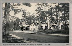 Blue Top Lodge Postcard