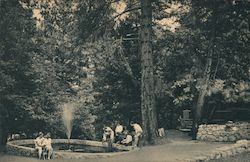 Fisherman's Dream - Montana Trout Pool Postcard