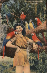 Macaws in Parrot Jungle Postcard