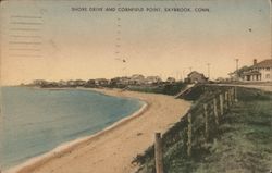 Shore Drive and Cornfield Point Old Saybrook, CT Postcard Postcard Postcard
