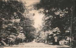 Most Beautiful Street Between Maine and Florida Postcard