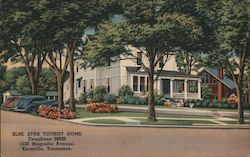 Blue Star Tourist Home Postcard