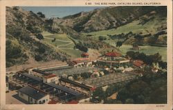 The Bird Park Postcard