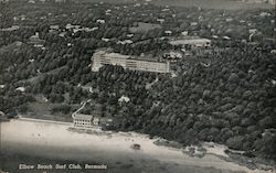 Elbow Beach Surf Club Postcard