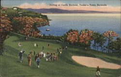 Golfing at Castle Harbour Postcard