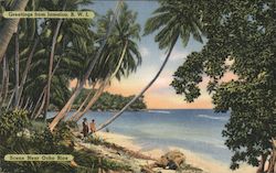 Greetings From Jamaica, Scene Near Ocho Rios Postcard
