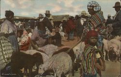 Animal Market San Francisco El Alto, Guatemala Central America Postcard Postcard Postcard