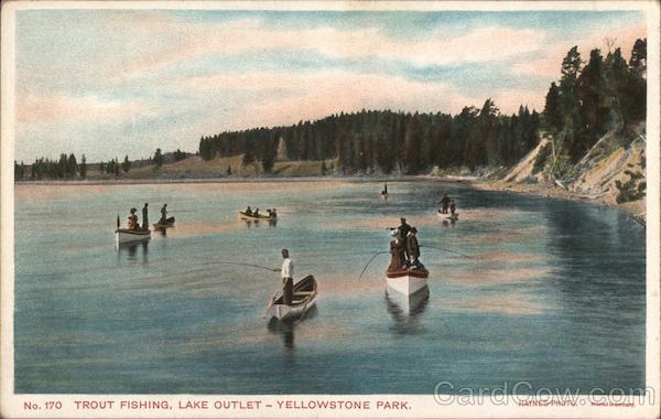 Trout Fishing, Lake Outlet - Yellowstone Park Yellowstone National Park