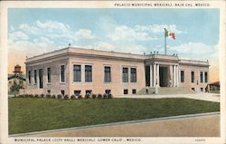 Municipal Palace (City Hall) Postcard