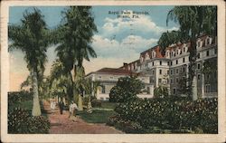 Royal Palm Grounds Postcard