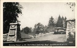 Petrified Forest on the Santa Rosa-Calistoga Road California Postcard Postcard Postcard