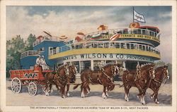 The Internationally Famous Champion Six-Horse Team of Wilson & Co. Postcard