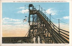 A Thrill of a Minute - Diving Horse, Ocean End Steel Pier Postcard