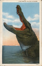 I am Yawning for You in Panama - Alligator Postcard