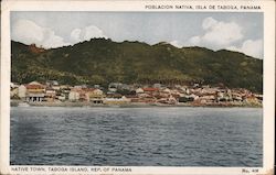 Native Town Postcard