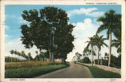 Central Road Habana, Cuba Postcard Postcard Postcard