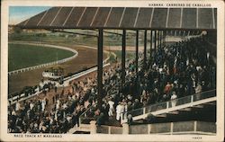 Race Track at Marianao Postcard
