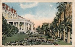 Royal Palm Hotel and Grounds Postcard