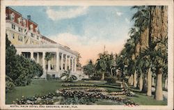 Royal Palm Hotel and Grounds Miami, FL Postcard Postcard Postcard