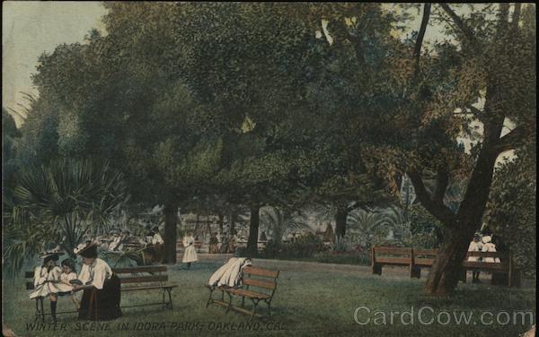 Winter Scene in Idora Park Oakland California