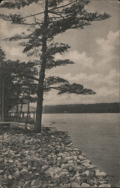 The Lonesome Pine Culvers Lake New Jersey
