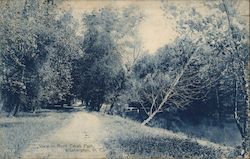 View in Rock Creek Park Postcard