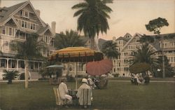 The Belleview Biltmore, Tea Garden Belleair, FL Postcard Postcard Postcard