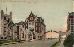 New York City College Postcard